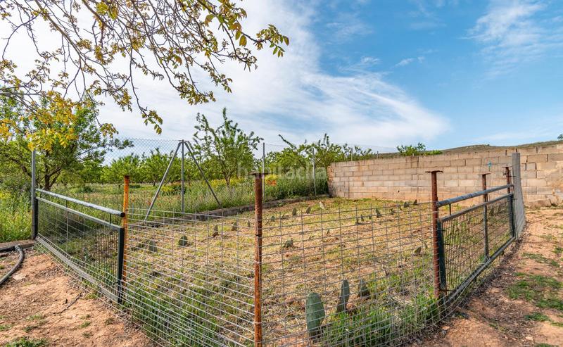 Foto 6e31fa49-caed-45d7-ad78-7deeb8a3280b. Finca rústica a calle real 134 a Padul
