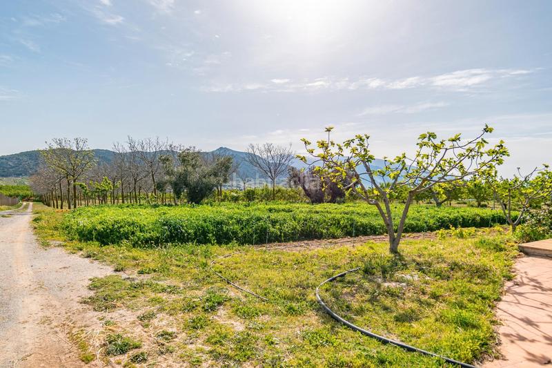 Foto 7366d608-34b8-49d6-97f5-1ae66b919ec7. Finca rústica a calle real 134 a Padul