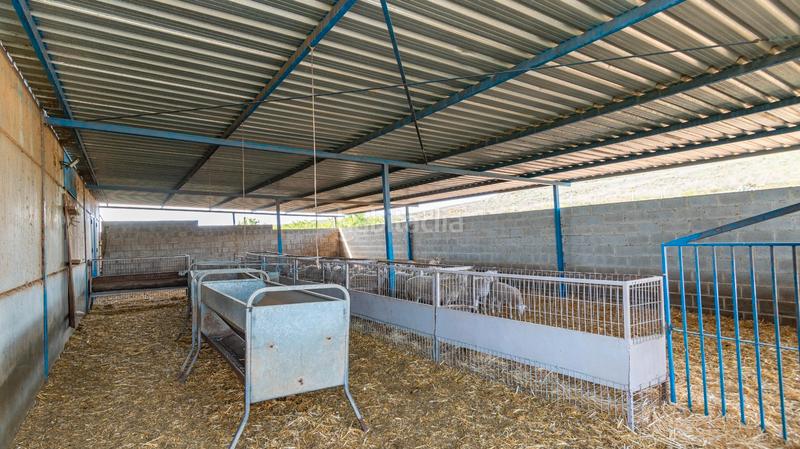 Foto ba4c28cc-5276-4fa2-ba89-a79901392623. Finca rústica a calle real 134 a Padul