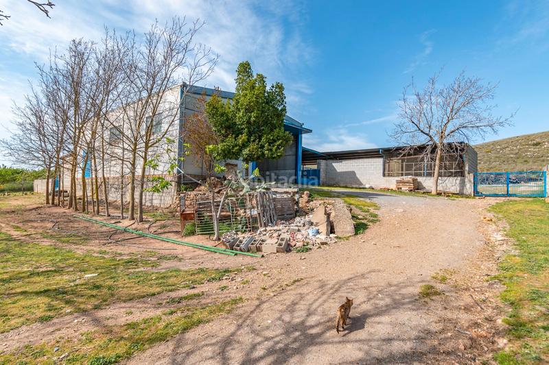 Foto c102b39d-eb90-48ef-9203-9efdfd0b4118. Finca rústica a calle real 134 a Padul