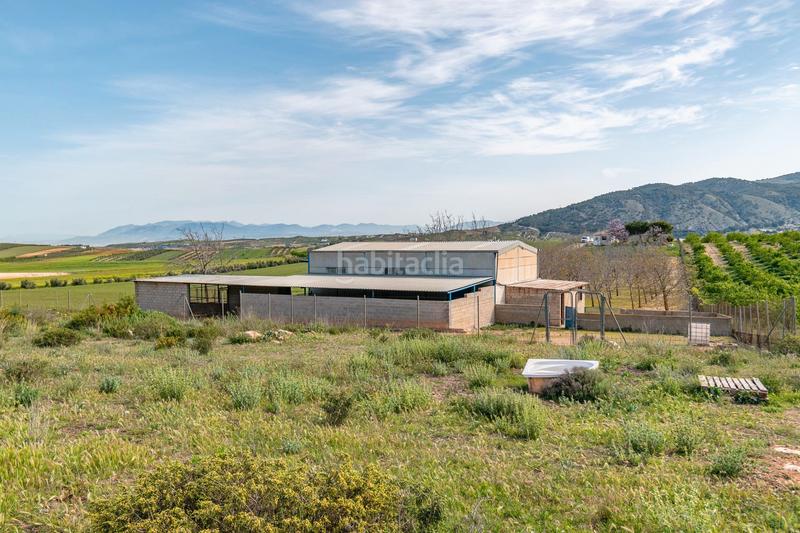 Foto faf9df14-092c-46a8-8442-554876a7ebfb. Finca rústica a calle real 134 a Padul