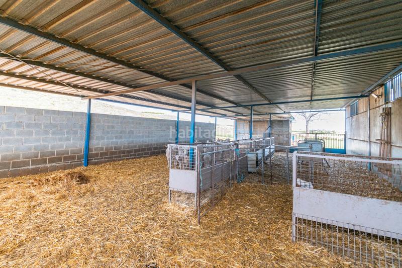 Foto fe5d4890-a218-4304-aaab-6d8a822ecd8c. Finca rústica a calle real 134 a Padul