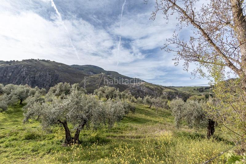 Foto 0f7c6b46-c324-425a-8415-bb3ec5a1b664. Propriété dans calle emilio aragon 12 dans Monachil pueblo Monachil