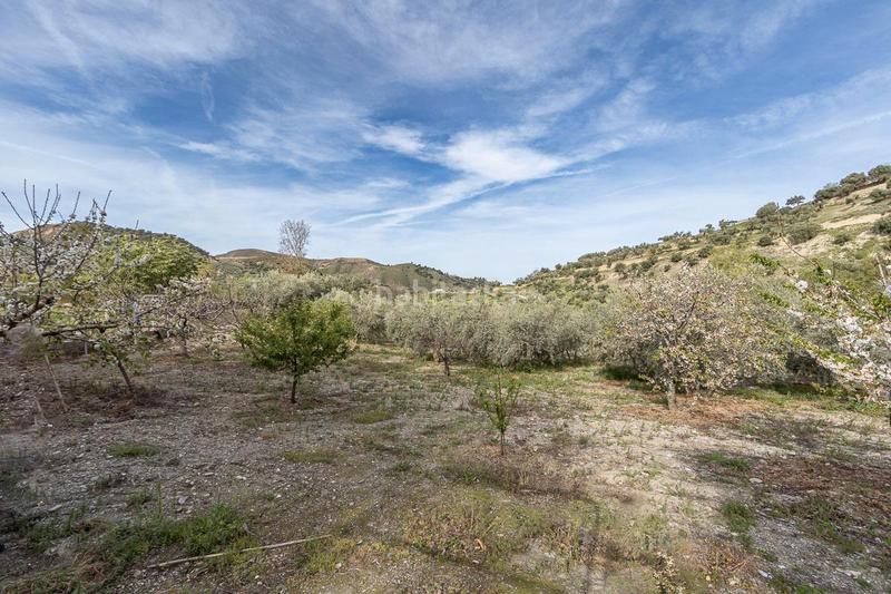 Foto 2b0b6347-23b3-420a-8804-904ffeff722b. Propriété dans calle emilio aragon 12 dans Monachil pueblo Monachil