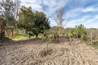Finca rústica a Calle emilio aragon 12. Se vende finca de recreo con amplio huerto junto a los cahorros