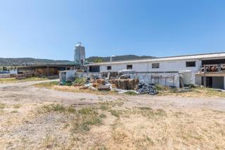Terreny residencial a Calle real 134. Se vende explotacion agrícola-ganadera en pleno funcionamiento _