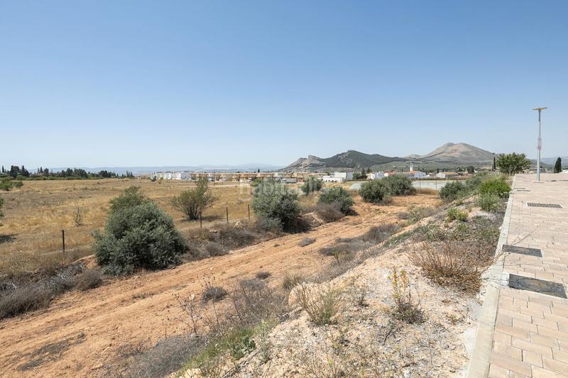 Foto 9655f837-d15a-4743-bed8-d9d5b808253e. Terreny residencial a calle manuel de falla 58 a Albolote