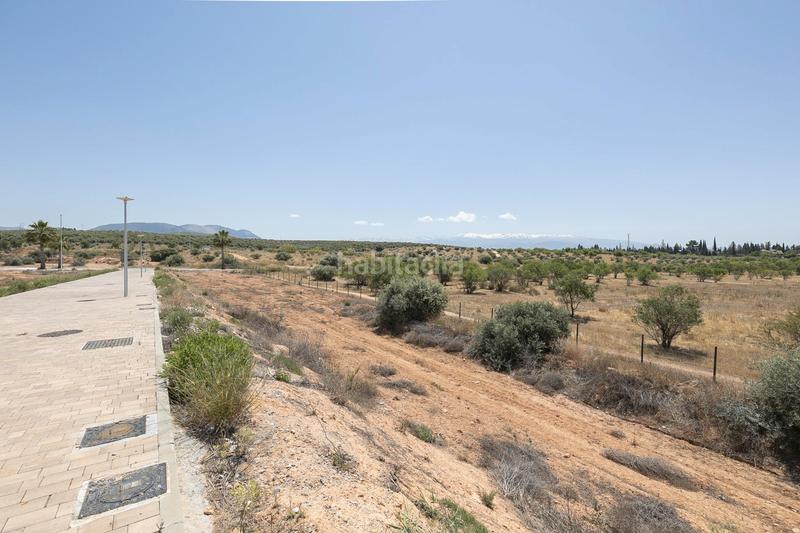 Foto aad5d7b5-44ba-457c-b98a-ce6a29a61e1a. Terreny residencial a calle manuel de falla 58 a Albolote