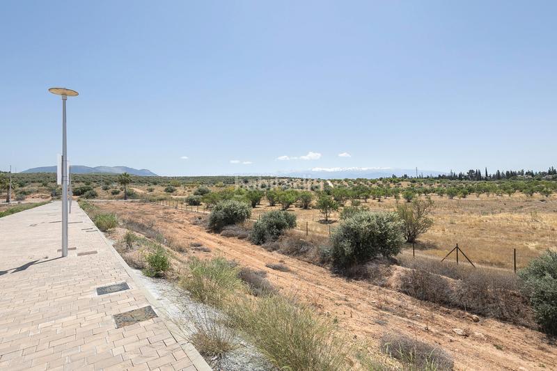 Foto c7d189d8-6f15-46f4-b6c8-e48b5e6bf38c. Terreny residencial a calle manuel de falla 58 a Albolote