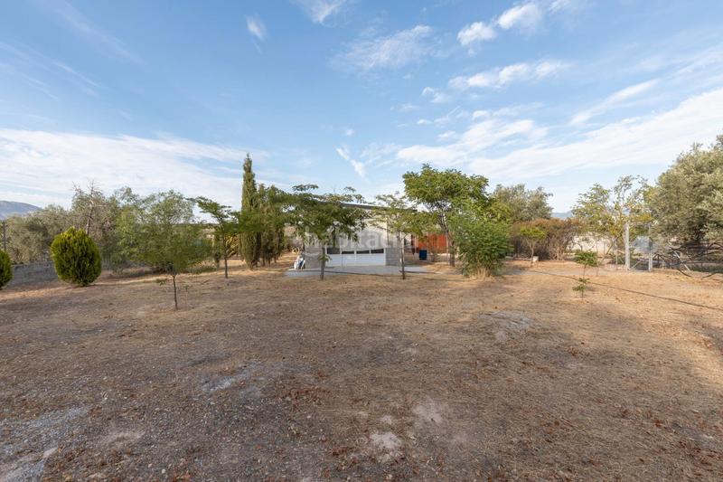 Foto 78cbb86b-42f2-4526-af17-a5f57ed5ad4e. Residential plot in avenida de los alamos 162 in Atarfe