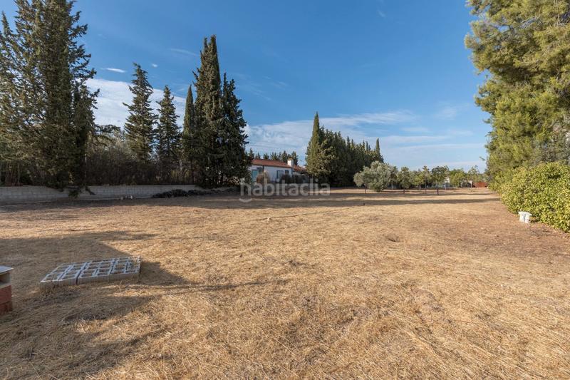 Foto b5a99805-efc4-4feb-91e6-fcd7130b9d91. Residential plot in avenida de los alamos 162 in Atarfe