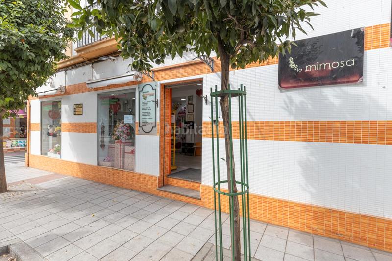 Foto 9d0a3dcd-683a-4c0c-b34c-db86a7f8b527. Piso en calle arzobispo guerrero 14 se vende piso en barrio de la chana_parque almunia_ en Granada