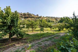 Finca rústica en Paseo la duquesa 7. Se vende maravillosa finca rustica en pinos del genil_granada