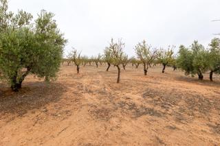 Terreny residencial a Avenida garcia lorca 9. Se vende terreno en escuzar