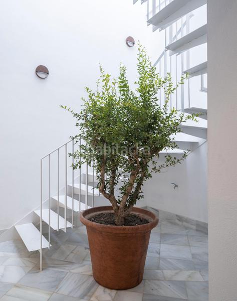 Foto 2daf1980-5685-41ee-9478-a3a0e59bb8e3. Pis a calle horno del vidrio 14 a Barrio de Albaicín Granada