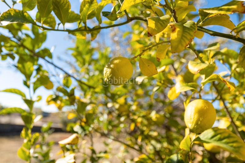 Foto 4f6ecb78-b52f-4173-a054-9c22dc97d275. Terrain résidentiel dans paseo de la cueva 7 dans San Francisco - El Chorrillo Gabias (Las)
