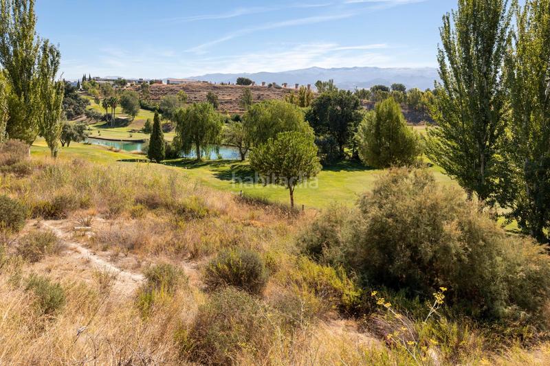 Foto a78a6065-6422-428c-82d4-79305f141cb7. Terrain résidentiel dans paseo de la cueva 7 dans San Francisco - El Chorrillo Gabias (Las)