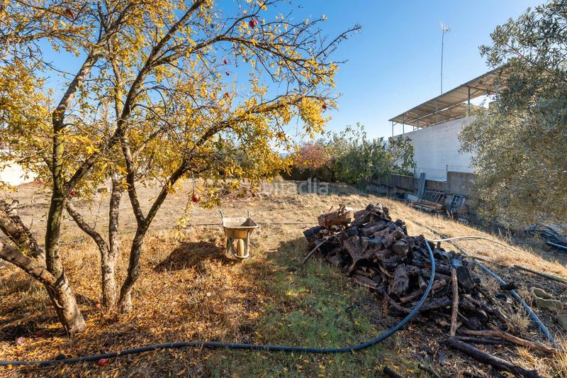 Foto e6140e25-55f6-44ce-8c1d-819d815ab840. Terrain résidentiel dans paseo de la cueva 7 dans San Francisco - El Chorrillo Gabias (Las)