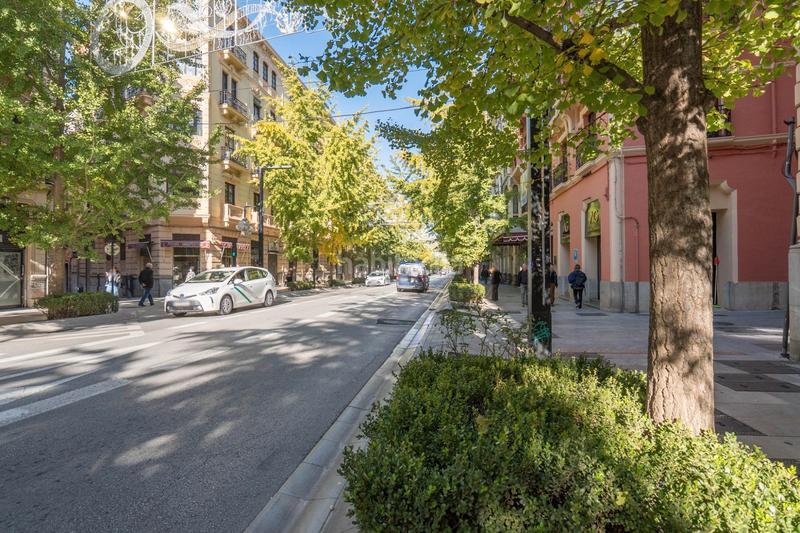 Foto 7d9ef9bf-588f-44ce-887d-04b743075129. Appartamento in calle arandas 45 in Centro - Sagrario Granada