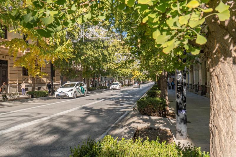 Foto 8cf17785-17a6-46cb-8277-883002153b12. Appartamento in calle arandas 45 in Centro - Sagrario Granada