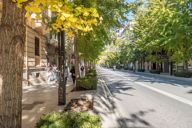 Foto bbcfa421-56fa-4b48-aa43-553259df2922. Appartamento in calle arandas 45 in Centro - Sagrario Granada