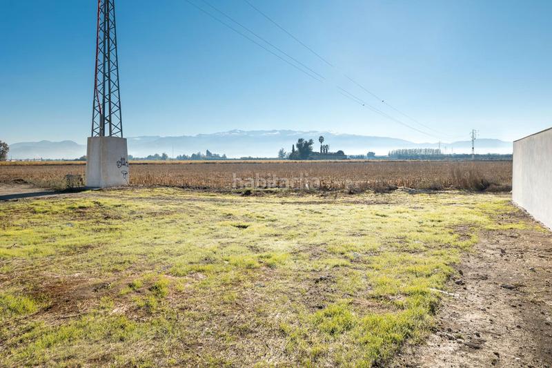 Foto 927556c4-9b73-460c-ac1b-4df41bc8539a. Terreno residenziale in avenida mediterraneo 33 in Vegas del Genil