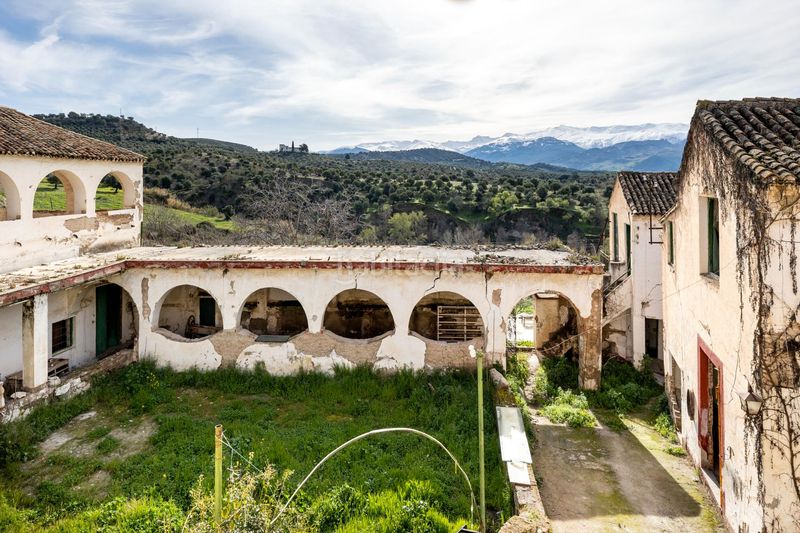 Foto b5ebc751-6d82-4365-b5e2-ce7e57ab8a60. Finca rústica a calle real del Fargue 73t a Fargue Granada