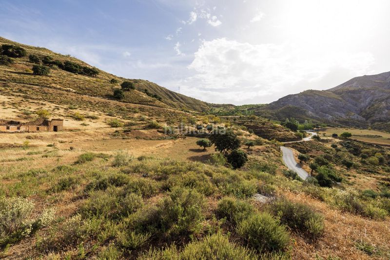 Foto 298a7849-faa4-4823-bbda-0b3c2e5e4ddf. Finca rústica a calle emilio aragon 12 a Monachil pueblo Monachil