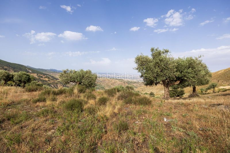 Foto 33f8cd0b-de18-4a92-b05a-eee3dc27b886. Finca rústica a calle emilio aragon 12 a Monachil pueblo Monachil