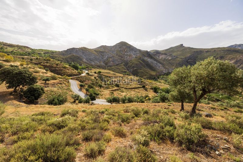 Foto 3765db09-f48c-4bc7-8d69-87f7dd21df0b. Finca rústica a calle emilio aragon 12 a Monachil pueblo Monachil