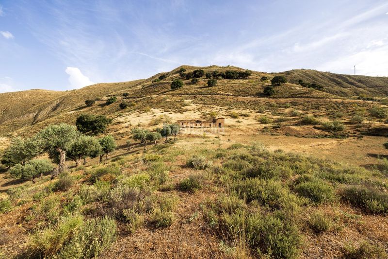 Foto 9f24d208-52ea-41b1-9cde-254a5ca11efa. Finca rústica a calle emilio aragon 12 a Monachil pueblo Monachil