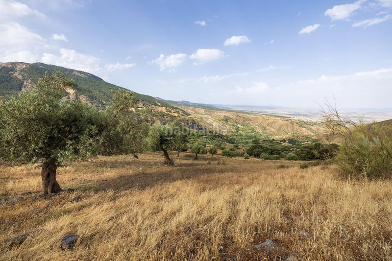 Foto ab6e26b7-63ee-48cf-b974-e64fe37020e1. Finca rústica a calle emilio aragon 12 a Monachil pueblo Monachil