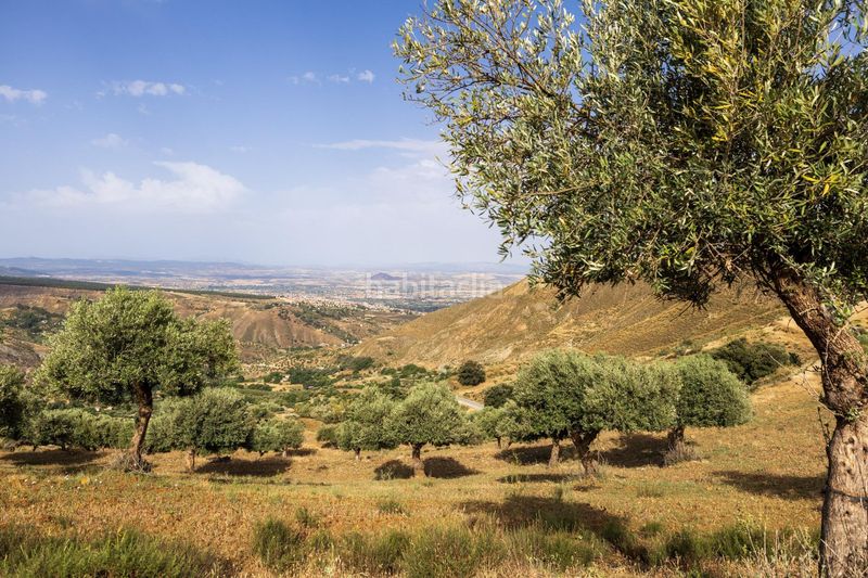 Foto bc75ac78-0120-4054-8e63-1b059c2d778b. Finca rústica a calle emilio aragon 12 a Monachil pueblo Monachil