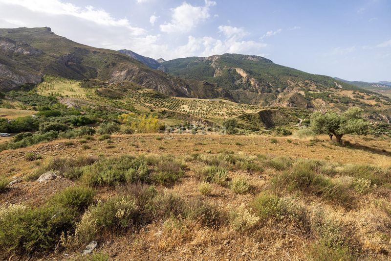 Foto cc21a920-6ac4-4848-91ab-f1d549efcdad. Finca rústica a calle emilio aragon 12 a Monachil pueblo Monachil