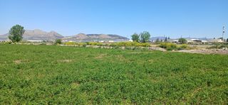 Landgut in Gr-30 6. Se vende parcela regadio zona mercagranada