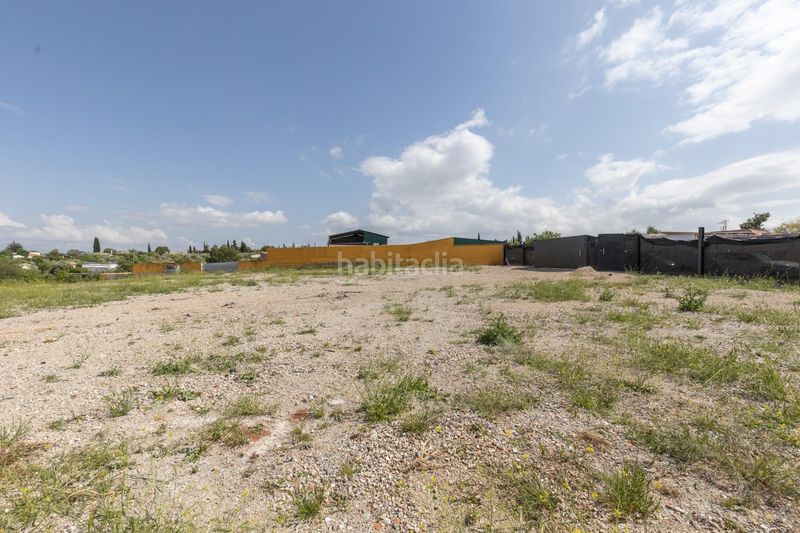 Foto 74381f3d-bac3-45dd-811d-d583540a537d. Finca rústica a calle real 10 a Moraleda de Zafayona
