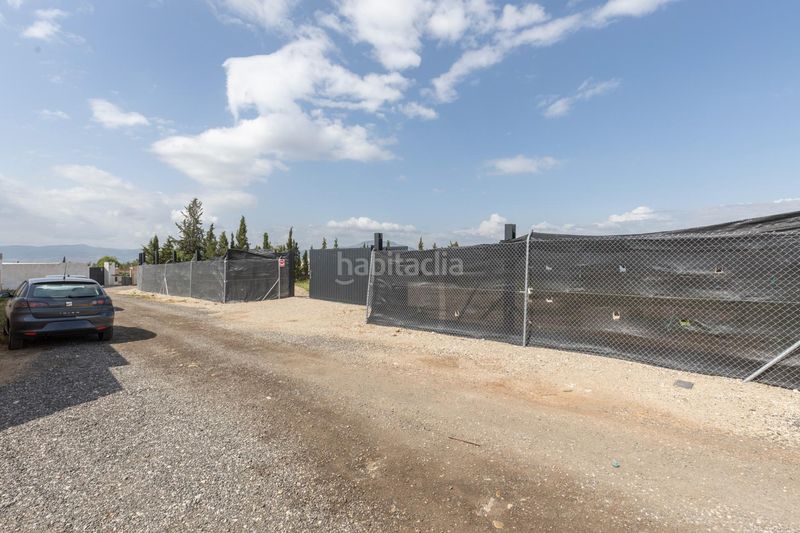 Foto bf161523-8eb4-4fa3-9a83-dcdcfc74b6bc. Finca rústica a calle real 10 a Moraleda de Zafayona