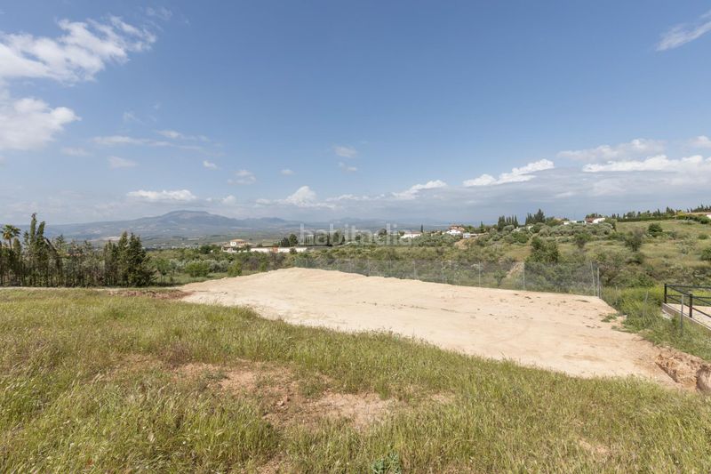Foto c2718339-1641-4c16-a760-b13e4e25bdbc. Finca rústica a calle real 10 a Moraleda de Zafayona