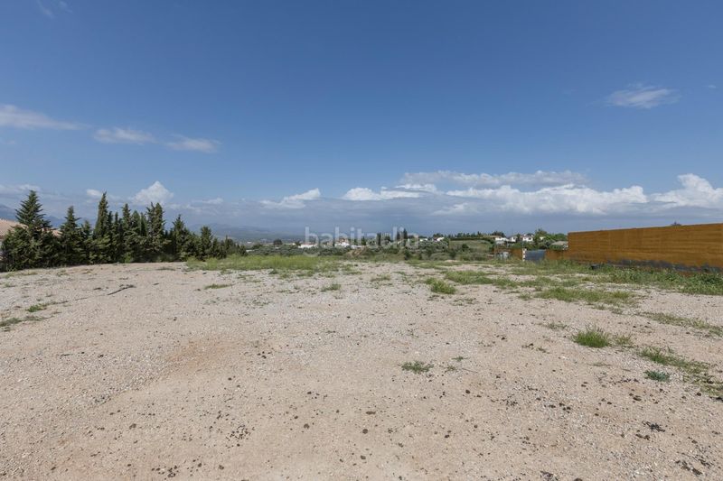 Foto e63b187e-5cbb-4c62-87a1-b80d3b71c66e. Finca rústica a calle real 10 a Moraleda de Zafayona