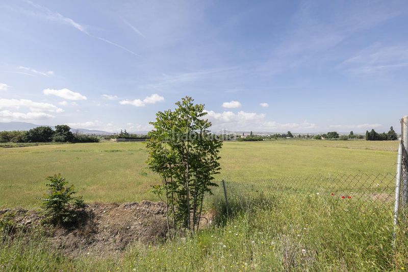 Foto 2007dd28-3b1d-4518-994a-539723477569. Finca rústica a calle almaciles 13 a Camino de los Neveros - Serrallo Granada