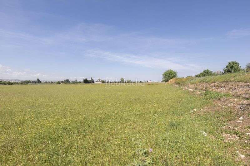 Foto d3817a56-5f2c-493d-ab49-dd3911e0743b. Finca rústica a calle almaciles 13 a Camino de los Neveros - Serrallo Granada