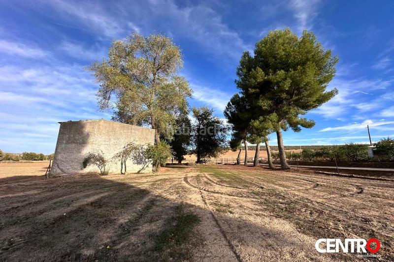 Foto bfacdbec-b87d-4946-94e2-bb3ada96b255. Fondo rustico in Guadahortuna