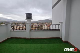 tic  Huertos. Semitico en padul con 2 terrazas