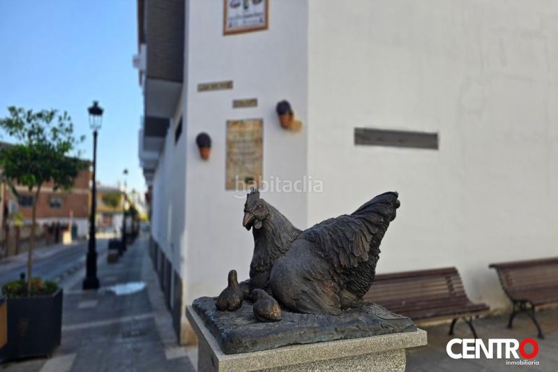 Foto 85678813-38f4-4d45-9a6f-f3c0ed05f4a7. Pis a Ogíjares