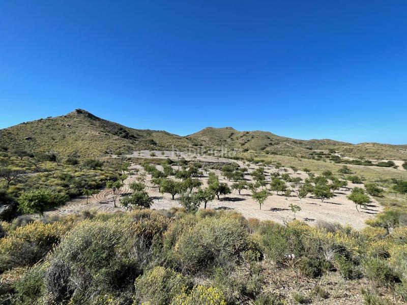 Foto 19d4c9b3-61e6-4f85-a118-06de6bed7881. Mas dans Los Puertos Cartagena