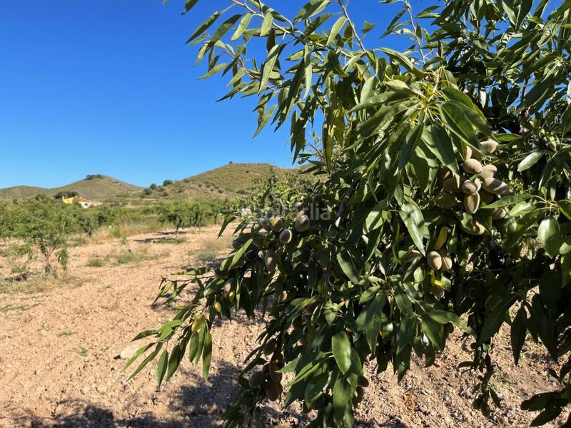 Foto 4dbc616b-f7e2-4397-a9a3-b3d19b1f6a63. Mas dans Los Puertos Cartagena