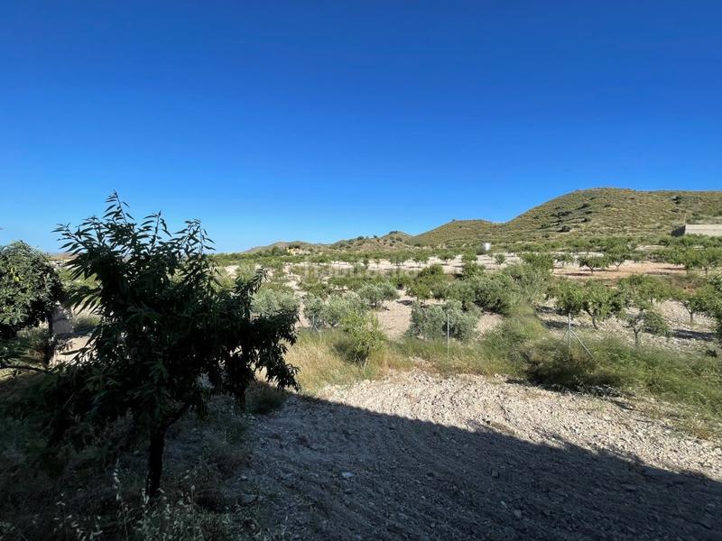 Foto 96b5c554-fb83-4acc-b9d4-1f07e60d401d. Mas dans Los Puertos Cartagena