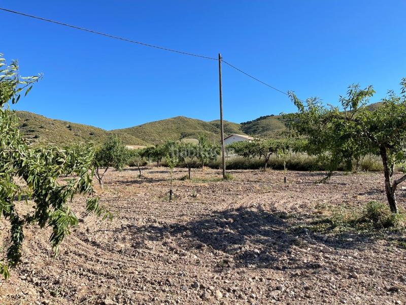 Foto bf0785ba-6cc5-4f0f-b89b-ffb177045146. Mas dans Los Puertos Cartagena