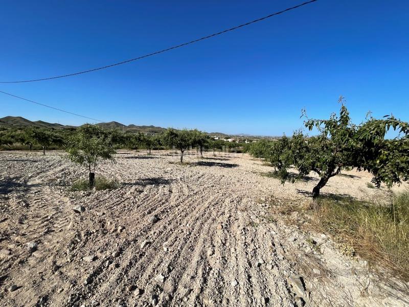 Foto c3bef0ef-b531-4bdd-8d6c-64020f90d705. Mas dans Los Puertos Cartagena