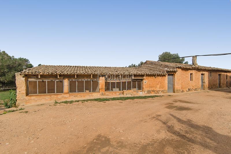 Foto 1eeb3eab-1dc9-4beb-8f4d-9a79ee22cba6. Bauernhof mit kamin in Sant Joan